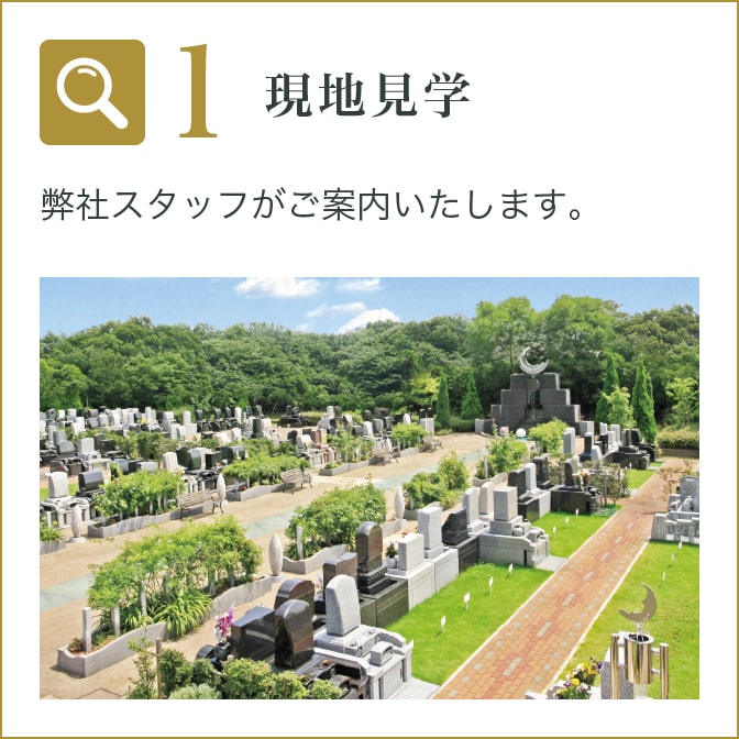 現地見学