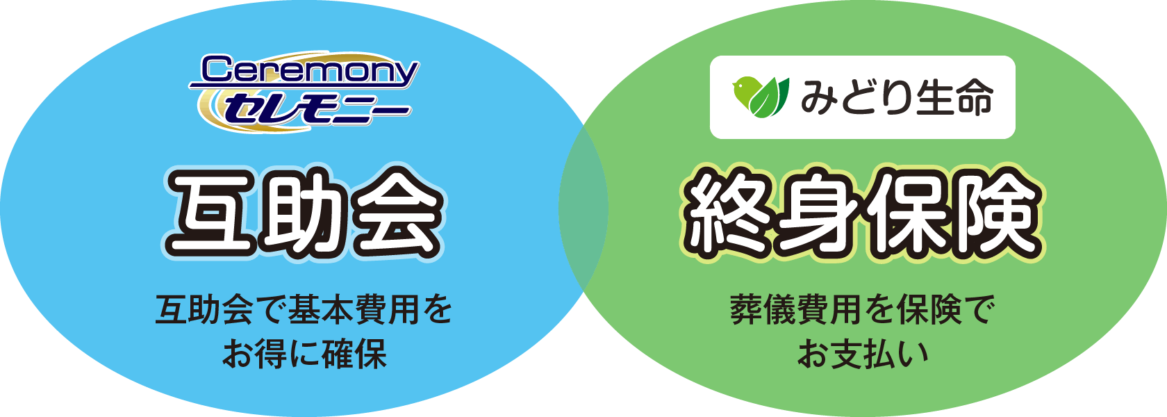 互助会と終身保険